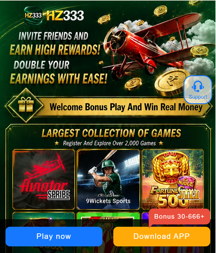 HZ333  Game