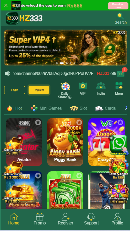 HZ333  Game